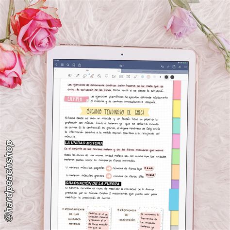 Apuntes En Ipad Empieza A Hacerlos