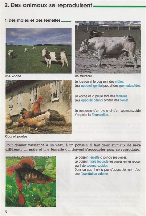 Leçons de choses 2 Des animaux se reproduisent