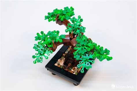 LEGO Botanical Collection 10281 Bonsai Tree TBB Review 6CY86 27 The