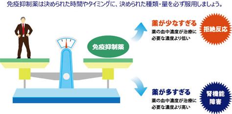 腎移植で服用する免疫抑制薬｜秋田大学医学部附属病院 佐藤滋先生 家族と考える慢性腎臓病サイト 腎援隊