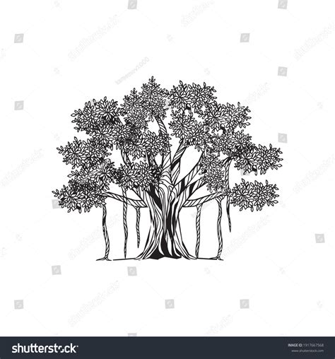 Banyan Tree Vector Art Hand Drawn Stock Vector Royalty Free