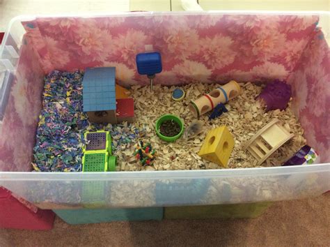 Diy Hamster Bin Cage My Little Hamster Named Chica Is There This Is