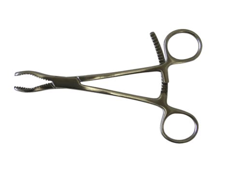 Bone Holding Forceps Vet Supplies