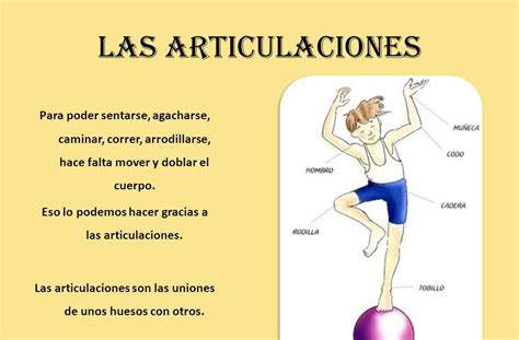 El Blog De Arcicarmen Tema Aparato Locomotor Las Articulaciones