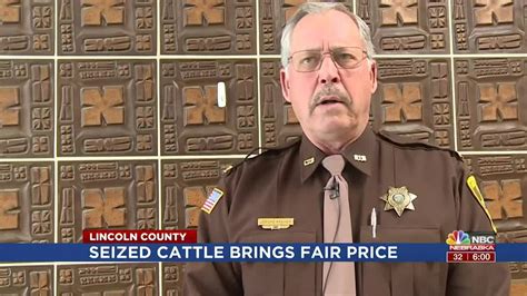 Cattle Seized By The Lincoln County Sheriffs Office Garners Fair Price