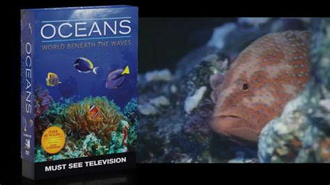 Oceans World Beneath The Waves 60 Hours On Dvd Youtube