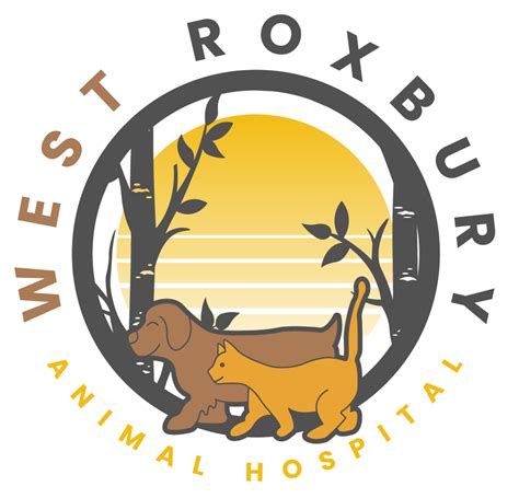 West Roxbury Animal Hospital Payment Options For Veterinary Care West