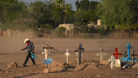 La Onu Advierte Que El Hombre Est En Guerra Con La Naturaleza Y