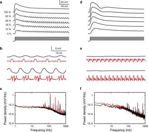 A Photoreceptor Voltage Responses With St Generation Projector For A