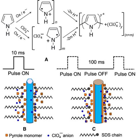 Electropolymerization Process Of The Polypyrrole Growth Over ZnO