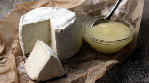 Homemade Goat Cheese | Chevre Recipe | Homesteading