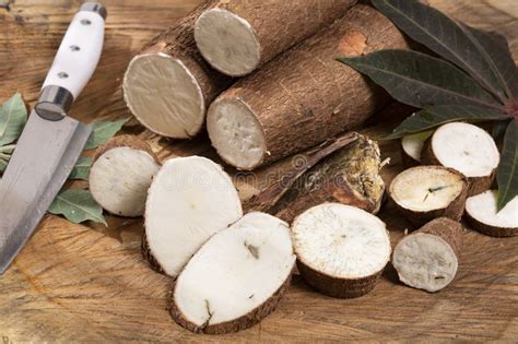 Fresh Organic Cassava Root Manioc Esculenta On Wooden Background