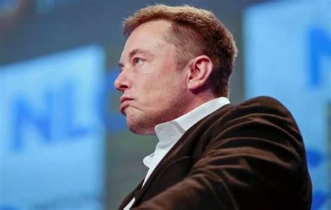 Elon Musk Reage A Caso De Idosa De Anos Condenada Pelo Stf Portal