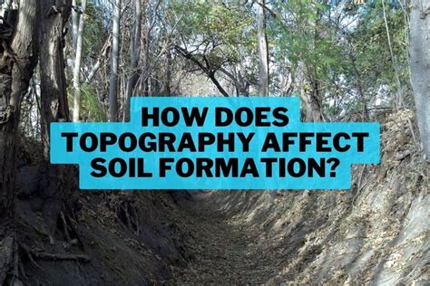 How Does Topography Affect Soil Formation Spatial Post