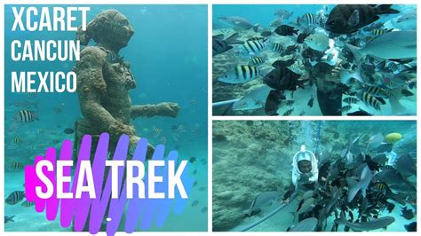 Sea Trek Xcaret Cancun Mexico English Vlog Youtube