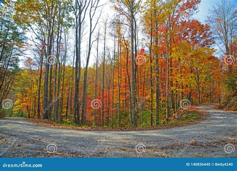 A Small Curved Mountain Road in Fall Colors. Stock Photo - Image of ...