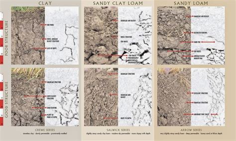 Belajar Geografi Indonesia Warna Struktur Dan Tekstur Tanah