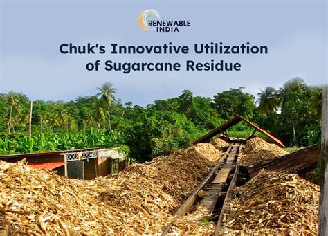 From Waste To Wonder India S Sugarcane Fibre Transformation