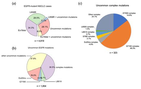 Targeted Therapy For Nsclc Patients With Egfr Mutations Encyclopedia Mdpi