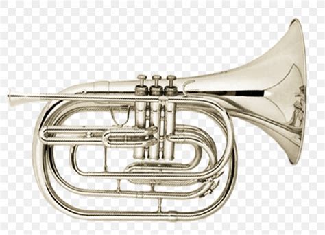 Cornet Mellophone Euphonium Saxhorn Flugelhorn PNG 895x647px Cornet