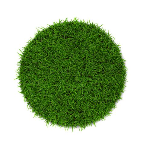 97600 Grass Circle Stock Photos Pictures And Royalty Free Images Istock