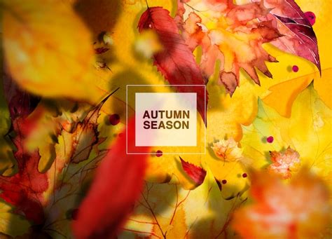 Premium PSD | Autumn season background