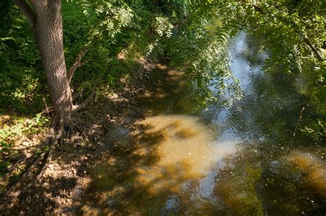 dupage river restoration  morton arboretum