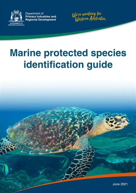 Marine Protected Species Identification Guide Docslib