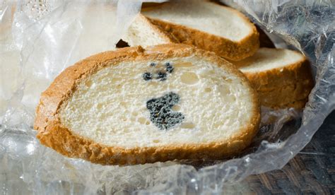 How Does Bread Get Black Mold Is Eating Black Bread Mold Harmful