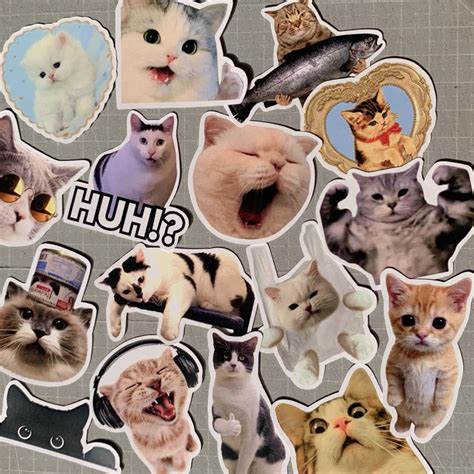 Jual Kucing Meme Sticker Pack Shopee Indonesia