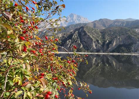 Alagir, Russia 2023: Best Places to Visit - Tripadvisor