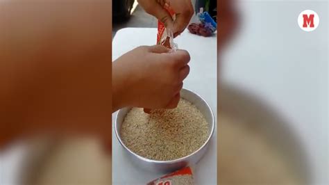 Beneficiarios Denuncian Gorgojos En Arroz Y Frijoles De Despensas Del