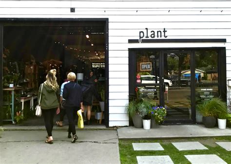 A Visit To Plant In Calgary Alberta — Daddys Plants