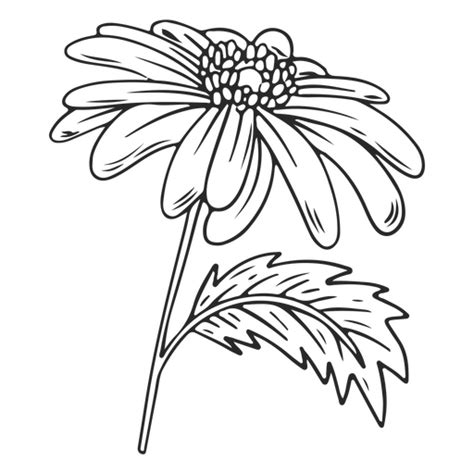 Diseños Png De Forma De Flor Para Camisetas And Merch