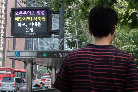 온실가스 안 줄이면 고농도 오존 1년 중 87일 발생 가능해진다 네이트 뉴스