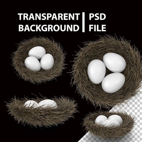 Nido Con 3 Huevos Blancos Png Archivo PSD Premium