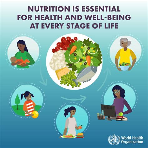 Nutrition Is Essential For Health And Well Being At Every Stage Of Life