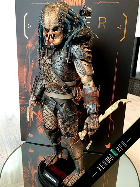 Hot Toys Elder Predator Mms Video Review And Photo Gallery