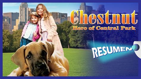 Chestnut El H Roe De Central Park Resumen Youtube