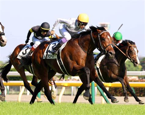 日本ダービー馬ドウデュースはジャパンcで国内復帰へ 武豊騎手が明かす 凱旋門賞から7日帰国 Umatoku 馬トク