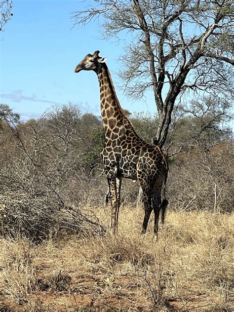 Meet Carolyn Hudson of The Woodlands - Voyage Houston Magazine