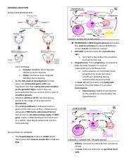 B Lec Gonadal Function Docx Gonadal Function Sexual