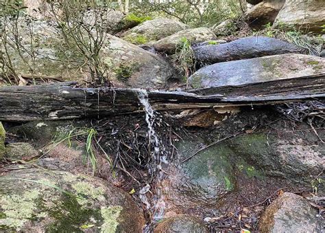 Está cerrado el acceso al Cerro Pan de Azúcar desde hoy y por el fin de