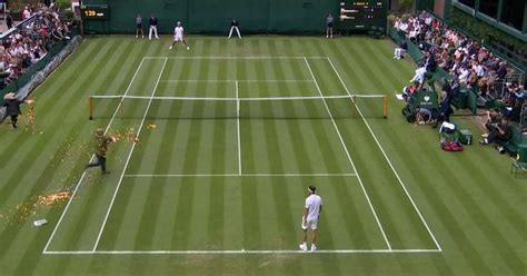 Just Stop Oil Protestors Disrupt Wimbledon Match And Cover Court With Orange Confetti Mirror