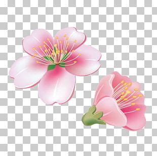 Portable Network Graphics Flower Adobe Photoshop Png Clipart Cut