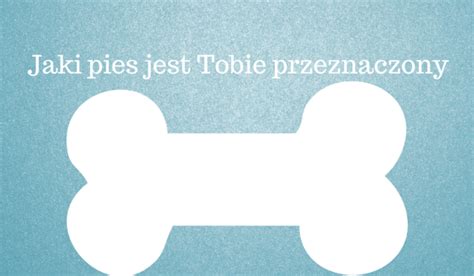 Jaki Pies Jest Tobie Przeznaczony Samequizy