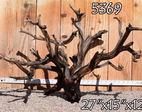 13 Manzanita Base With Roots Aquarium Wood Terrarium Tank Decor