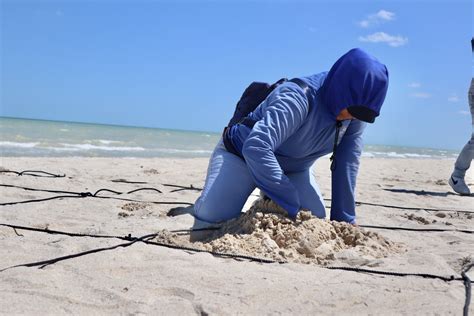 Playas de Progreso mantienen su certificación Blue Flag Diario de