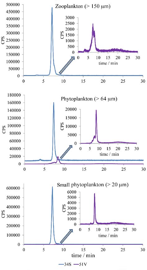 Sec Icp Ms Chromatograms From The Plankton Of Cabo Frio Bay Download Scientific Diagram