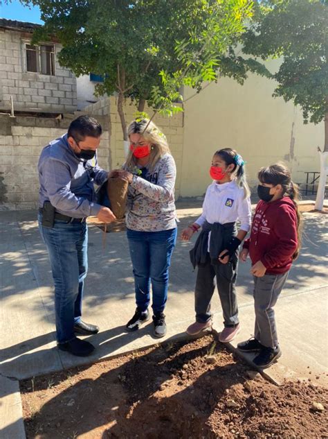 TRABAJA AYUNTAMIENTO DE CAJEME EN REFORESTACIÓN DE ESPACIOS EDUCATIVOS